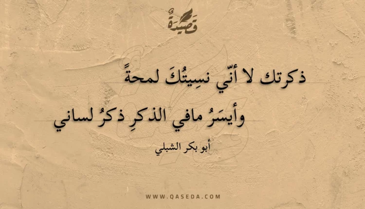 قصيدة ذكرتك لا أني نسيتك لمحة