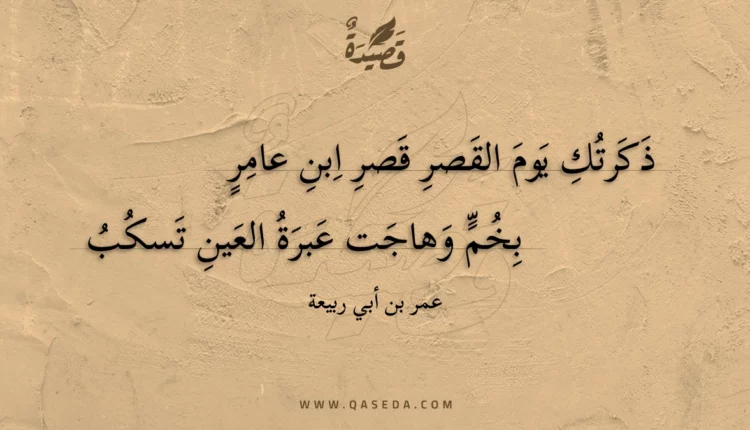 قصيدة ذكرتك يوم القصر قصر ابن عامر