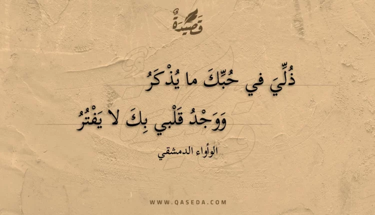 قصيدة ذلي في حبك ما يذكر