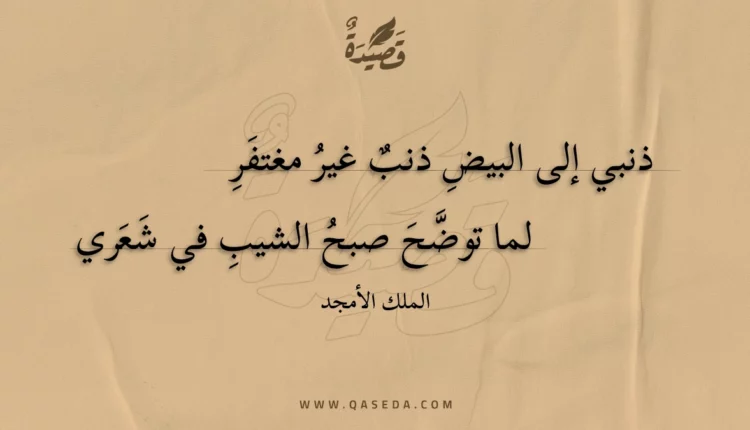 قصيدة ذنبي إلى البيض ذنب غير مغتفر