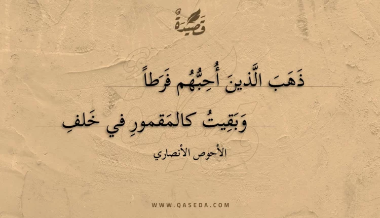 قصيدة ذهب الذين أحبهم فرطا