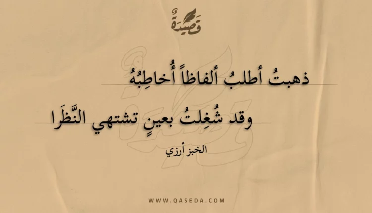 قصيدة ذهبت أطلب ألفاظا أخاطبه