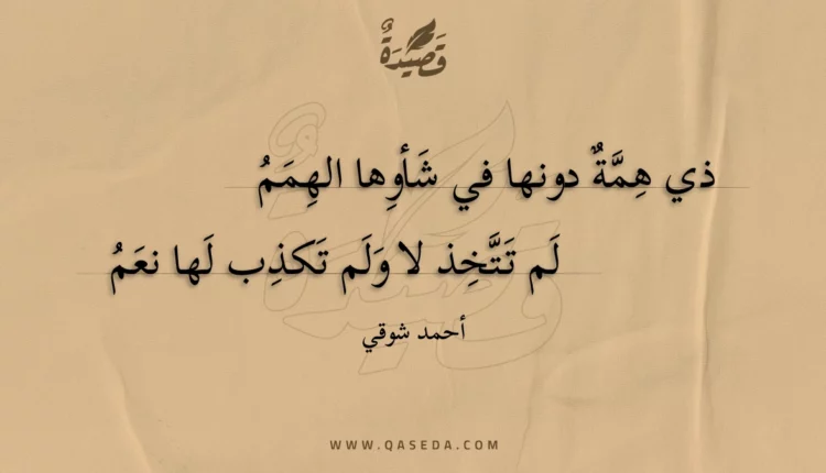 قصيدة ذي همة دونها في شأوها الهمم