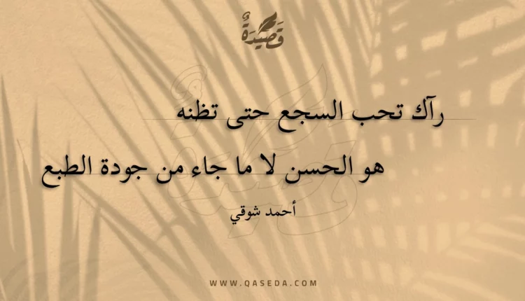 قصيدة رآك تحب السجع حتى تظنه