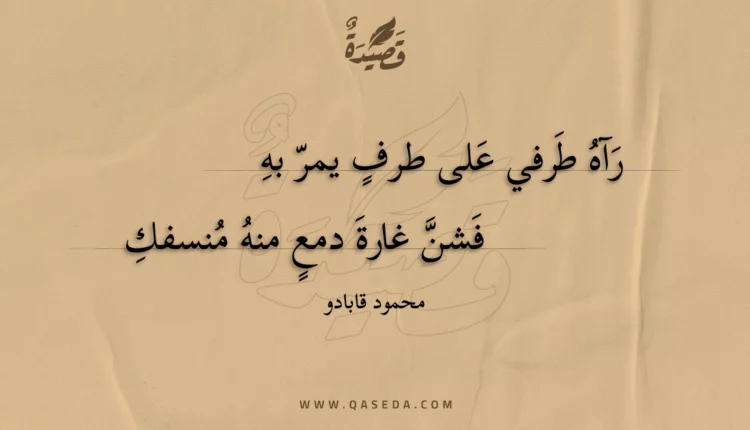 قصيدة رآه طرفي على طرف يمر به