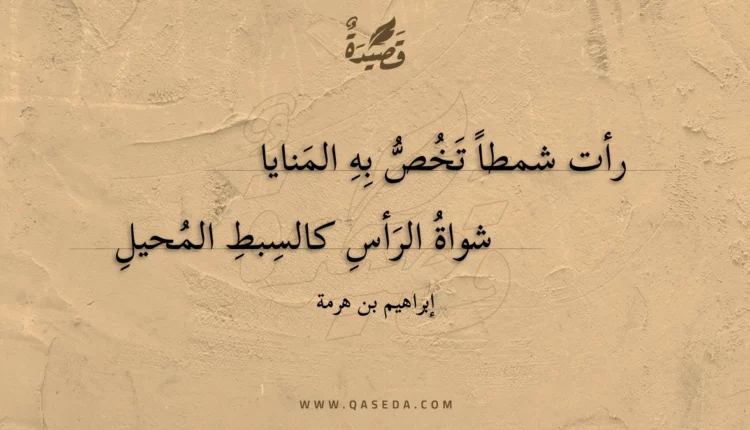قصيدة رأت شمطا تخص به المنايا