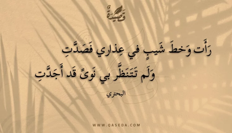 قصيدة رأت وخط شيب في عذاري فصدت