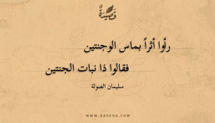قصيدة رأوا أثرا بماس الوجنتين