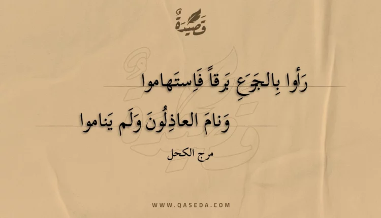 قصيدة رأوا بالجزع برقا فاستهاموا