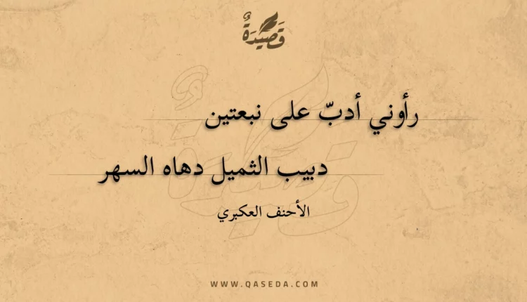 قصيدة رأوني أدب على نبعتين
