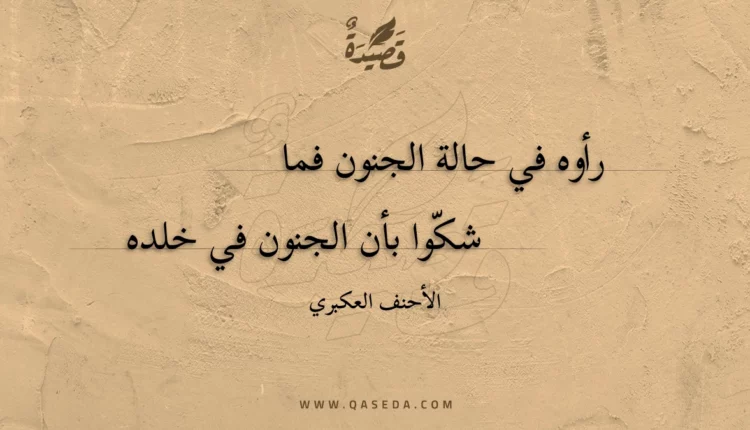 قصيدة رأوه في حالة الجنون فما