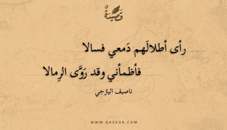 قصيدة رأى أطلالهم دمعي فسالا