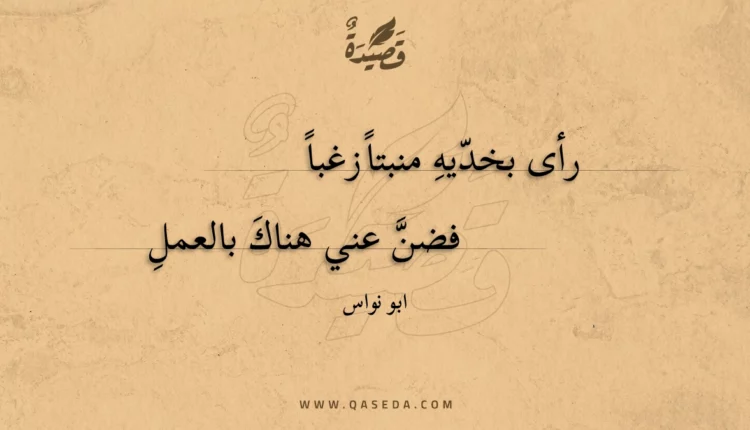 قصيدة رأى بخديه منبتا زغبا