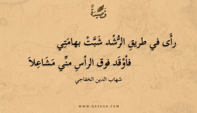 قصيدة رأى في طريق الرشد شبت بهامتي
