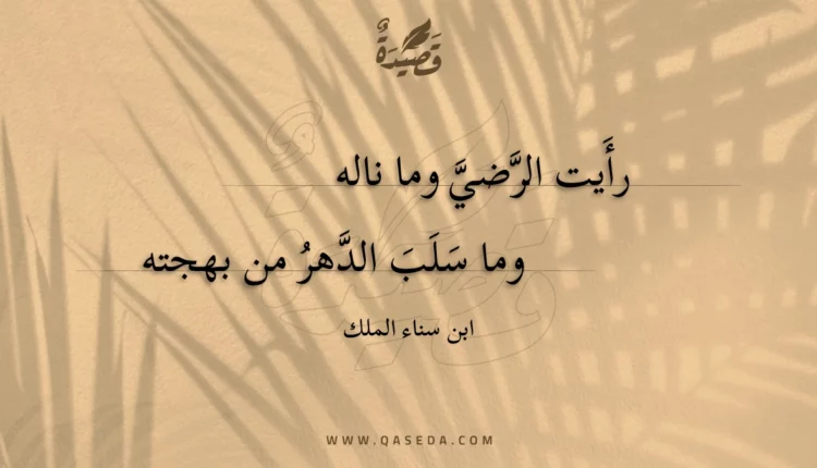 قصيدة رأيت الرضي وما ناله