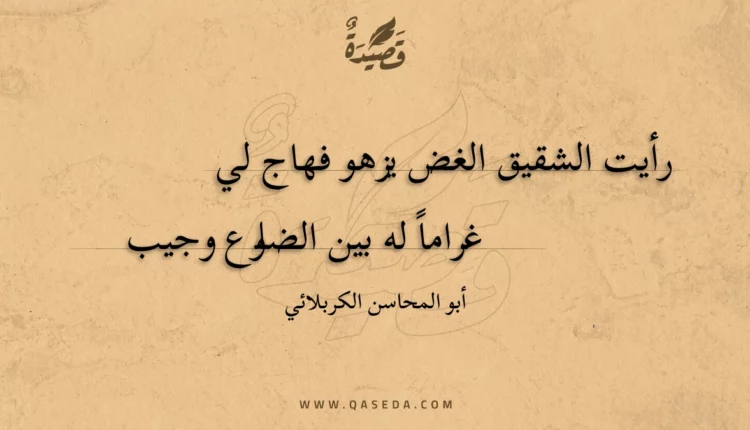 قصيدة رأيت الشقيق الغض يزهو فهاج لي