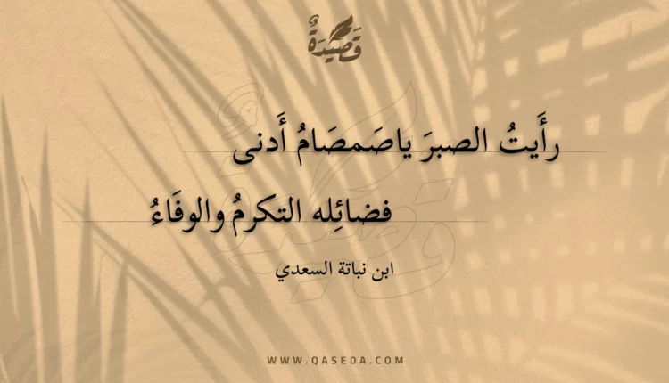 قصيدة رأيت الصبر ياصمصام أدنى