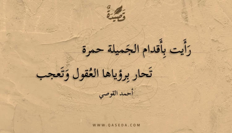 قصيدة رأيت بأقدام الجميلة حمرة