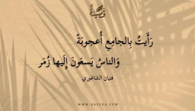 قصيدة رأيت بالجامع أعجوبة
