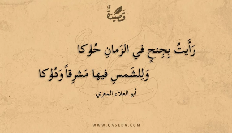 قصيدة رأيت بجنح في الزمان حلوكا