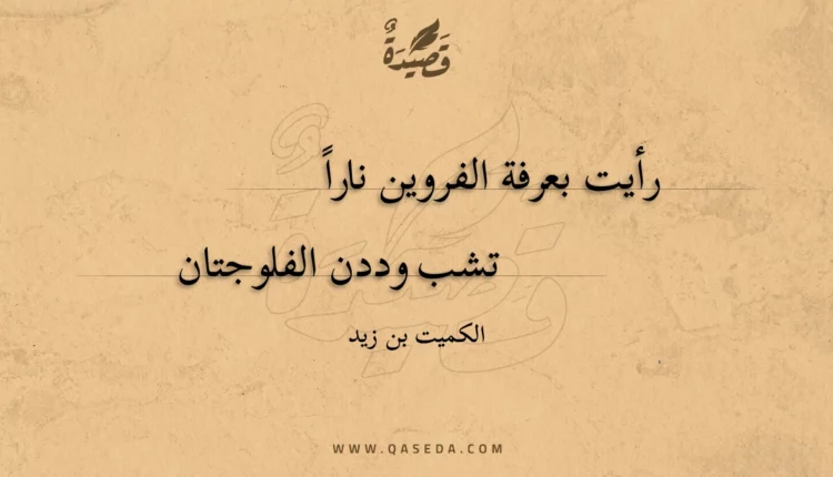 قصيدة رأيت بعرفة الفروين نارا
