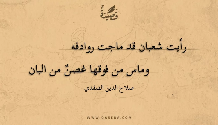 قصيدة رأيت شعبان قد ماجت روادفه
