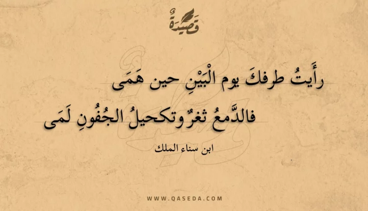 قصيدة رأيت طرفك يوم البين حين همى