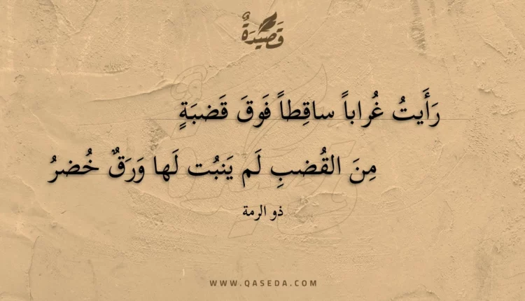 قصيدة رأيت غرابا ساقطا فوق قضبة