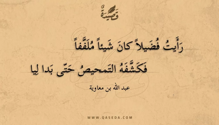 قصيدة رأيت فضيلا كان شيئا ملففا