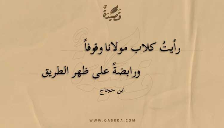 قصيدة رأيت كلاب مولانا وقوفا