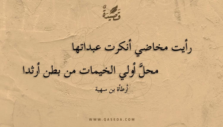 قصيدة رأيت مخاضي أنكرت عبداتها
