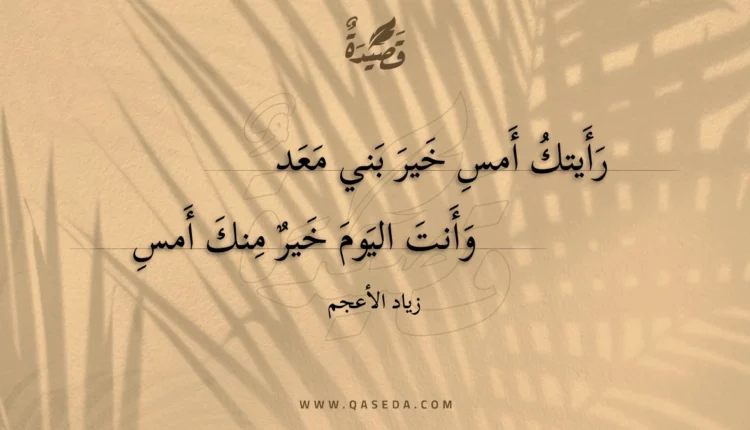 قصيدة رأيتك أمس خير بني معد