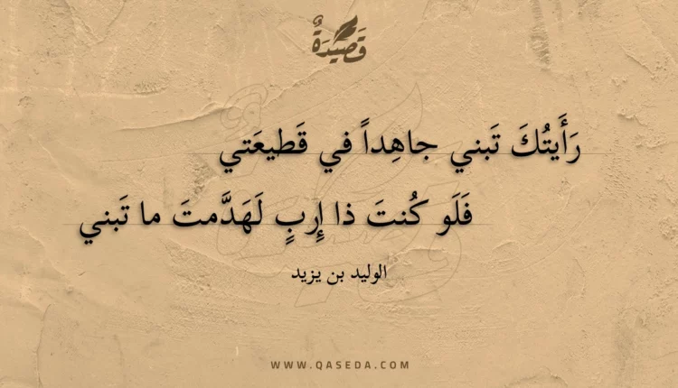 قصيدة رأيتك تبني جاهدا في قطيعتي