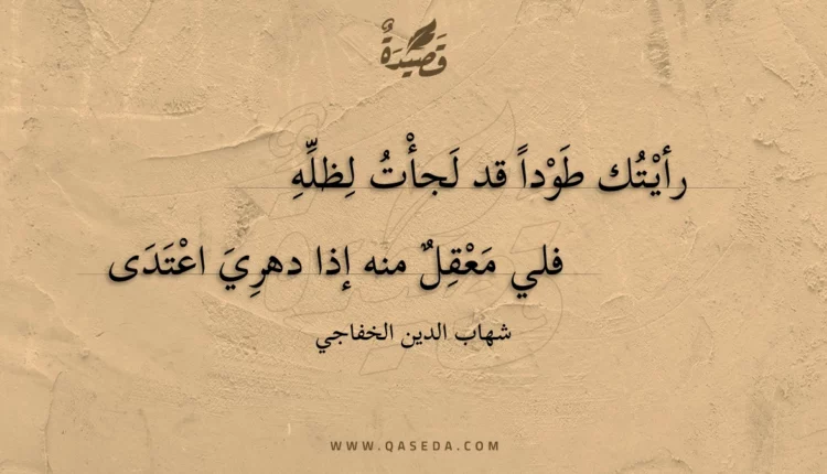 قصيدة رأيتك طودا قد لجأت لظله
