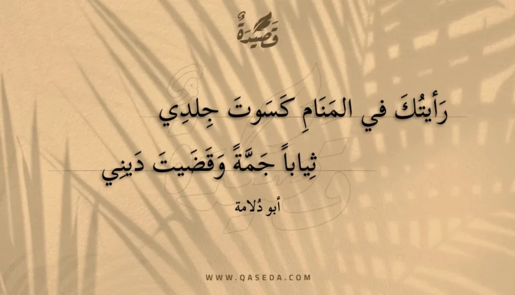 قصيدة رأيتك في المنام كسوت جلدي