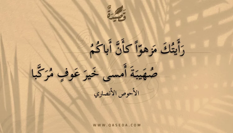 قصيدة رأيتك مزهوا كأن أباكم