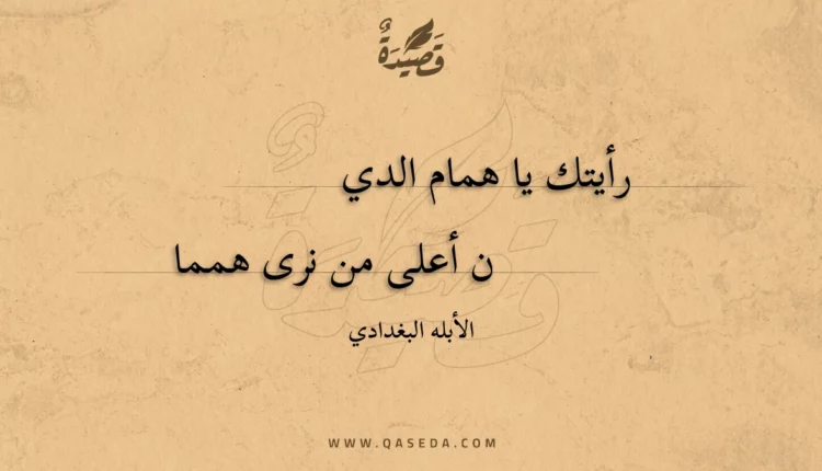 قصيدة رأيتك يا همام الدين