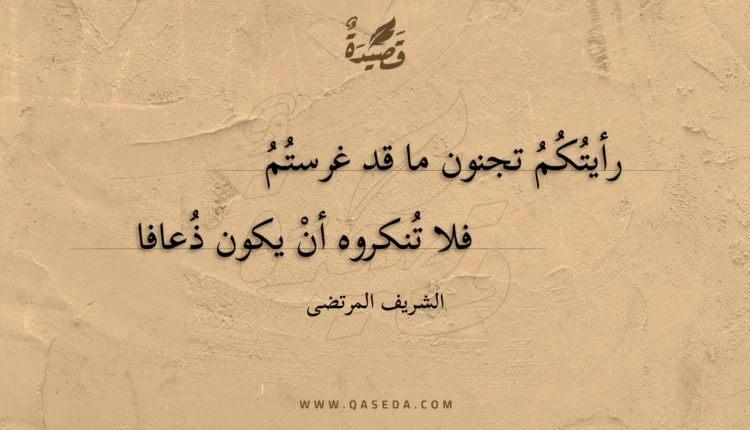 قصيدة رأيتكم تجنون ما قد غرستم