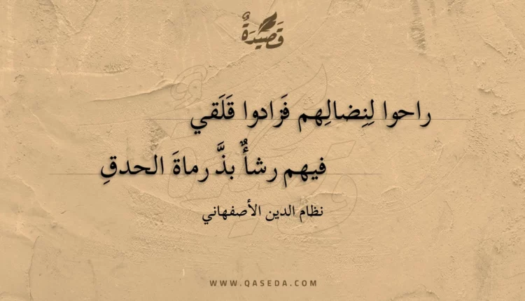 قصيدة راحوا لنضالهم فزادوا قلقي