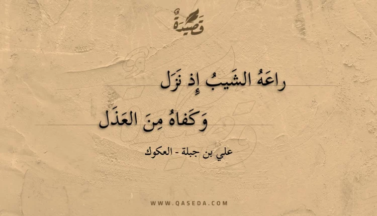 قصيدة راعه الشيب إذ نزل