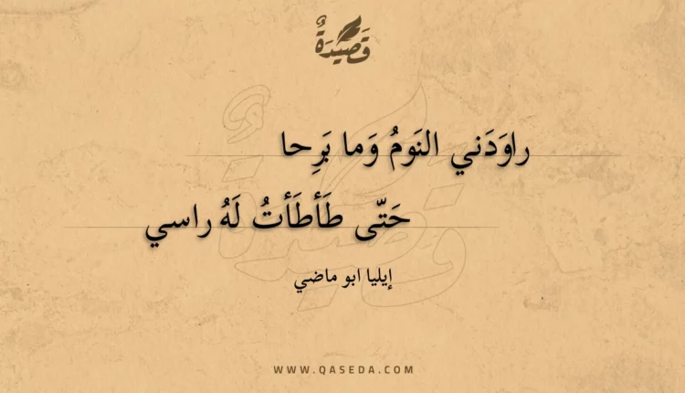 قصيدة راودني النوم وما برحا حتى طأطأت له راسي
