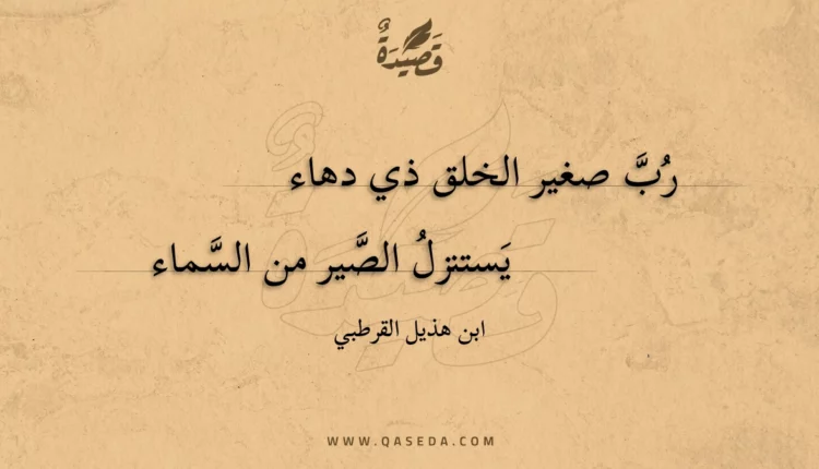 قصيدة رب صغير الخلق ذي دهاء
