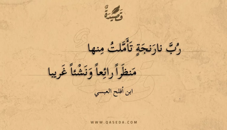 قصيدة رب نارنجة تأملت منها
