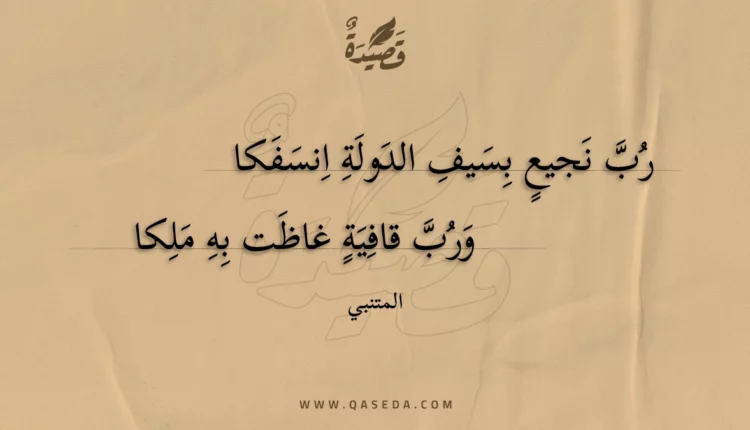 قصيدة رب نجيع بسيف الدولة انسفكا