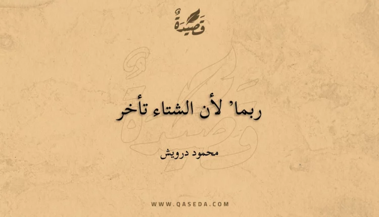 قصيدة ربما’ لأن الشتاء تأخر