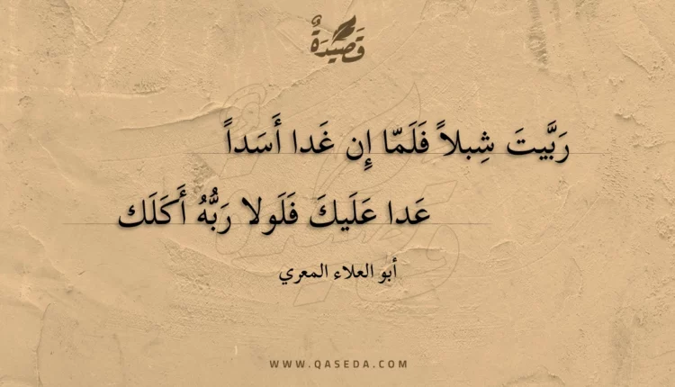 قصيدة ربيت شبلا فلما إن غدا أسدا