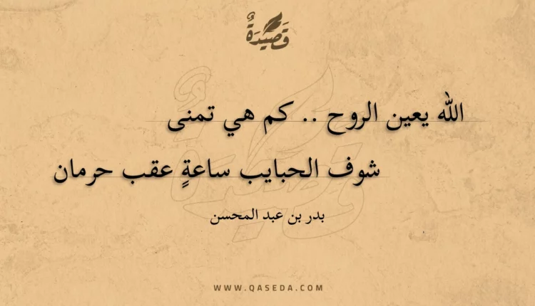 قصيدة ربيع الحب