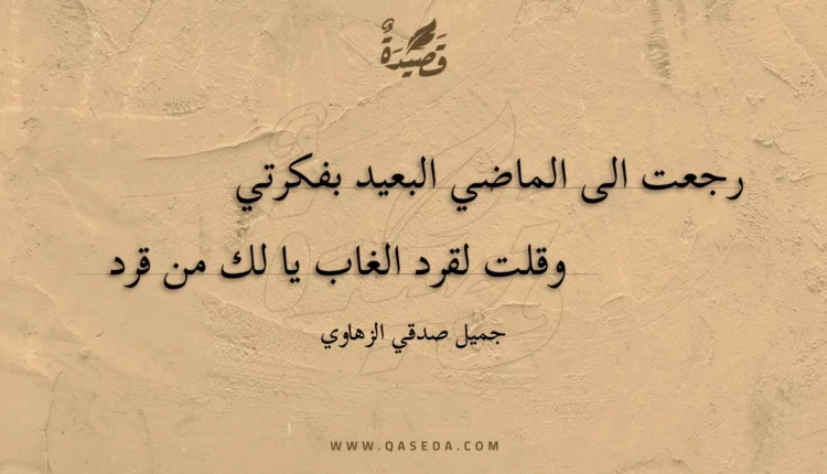 قصيدة رجعت الى الماضي البعيد بفكرتي