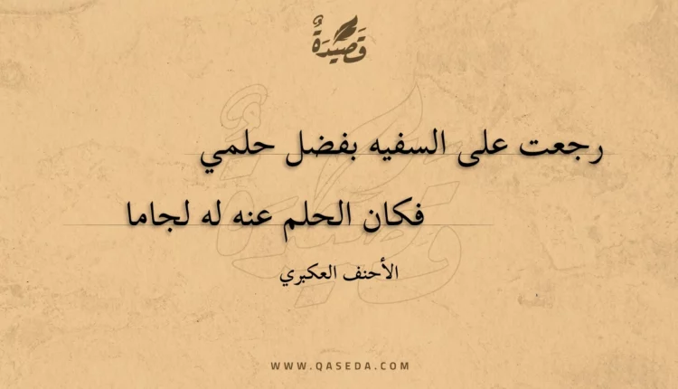 قصيدة رجعت على السفيه بفضل حلمي