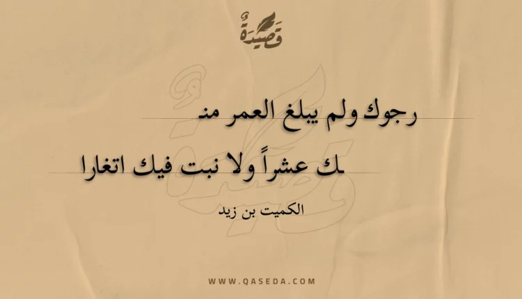 قصيدة رجوك ولم يبلغ العمر منك